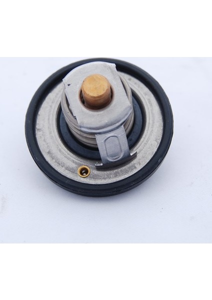 OES FORD CONNECT Termostat 2002 - 2015 (89FF8575AB)