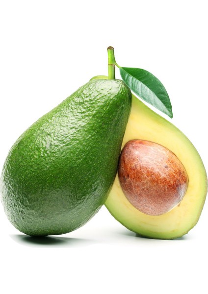 Avokado