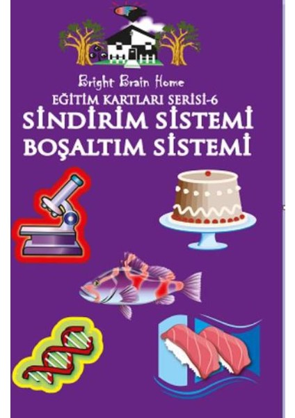 Eğitim Kartları Serisi:6 Sindirim Sistemi-Boşaltım Sistemi