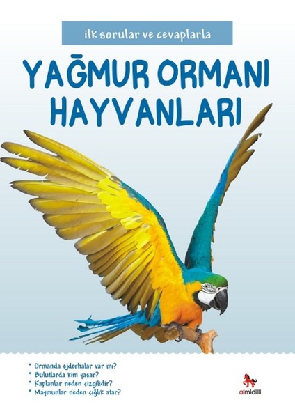 İlk Sorular Ve Cevaplarla:Yağmur Ormanı Hayvanları