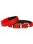 Comfort Sade Köpek Boyun Tasması (Dsbt-2510M) 3