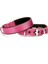 Comfort Sade Köpek Boyun Tasması (Dsbt-2510M) 4