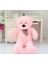 Dev 120 cm Pembe Peluş Ayı (Aynı Renk Fermuarlı) 1