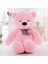 Dev 120 cm Pembe Peluş Ayı (Aynı Renk Fermuarlı) 3