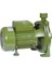 CPM-158 1.0 HP Bir Parmak Su Motoru 1