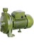 CPM-158 1.0 HP Bir Parmak Su Motoru 2