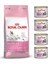 Mother&Baby Cat 34 Anne Ve Yavru Kedi Mamasi 4 Kg 4 Adet Royal Canin BabyCat Instinctive Yavru Kedi Konservesi 195 Gr Hediye 1