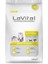 Lavital Cat Kıtten 1,5 Kg 1