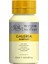 Galeria Akrilik Boya 500Ml - Pale Lemon 434 1
