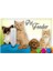 FinePet Pet Feeder Kedi ve Köpek için Yemek Su Kabı 2