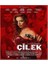 Çilek DVD 1