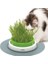 Catıt Senses 2.0 Grass Planter 3