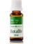 Hint Yağı 20 ml 1