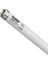 Daylıght 15W Sylvanıa Aqua Classıc 5000 Kelvin T8 45Cm 1