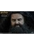 Harry Potter Quiddich 1/6 Action Figure 5