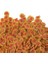 Pro Colour 10 Lt Kova 2100Gr 2