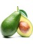Avokado 1