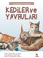 İlk Sorular Ve Cevaplarla :Kediler Ve Yavruları 1