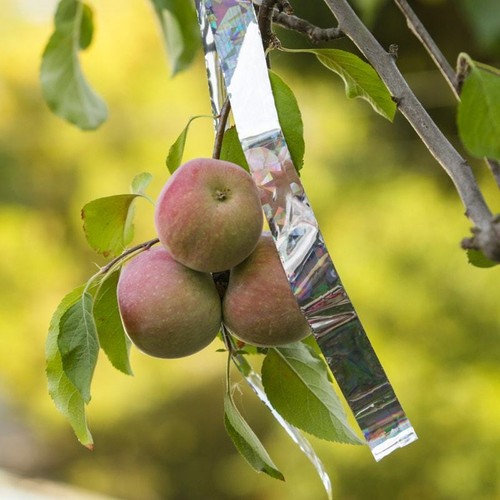 BirdX Irri Tape Iritasyon Kuş Kovucu Bant 2,5 Mt Rulo 100 Fiyatı