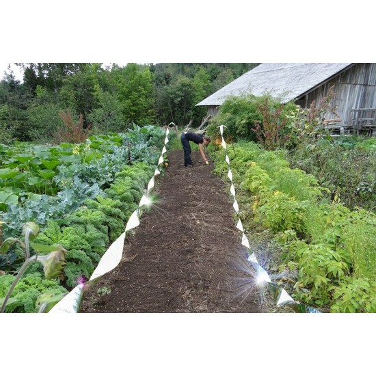 BirdX Irri Tape02 Iritasyon Kuş Kovucu Bandı, 2 Mt Rulo, Fiyatı