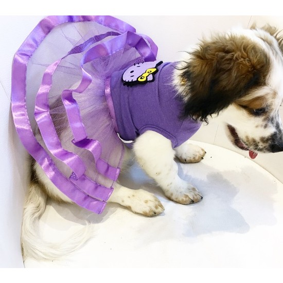 Dogi &amp; Dog Caty Tütü Köpek ElbisesiKöpek KiyafetiKedi Fiyatı