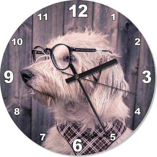 Tablomega Gözlüklü Köpek Analog Duvar Saati 50 X 50 Cm Fiyatı Tablomega Gözlüklü Köpek Analog Duvar Saati 50 X 50 Cm Fiyatı