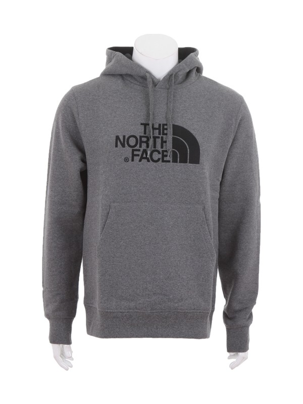 the north face sweatshirt