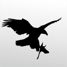 Technopa Folyo Sticker Kartal 110 60 cm Uzunluk Dekoratif Sticker