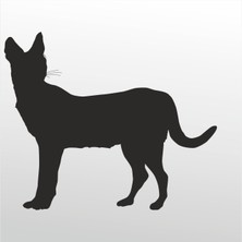 Technopa Folyo Sticker Kedi 119 70 cm Uzunluk Dekoratif Sticker