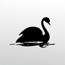 Technopa Folyo Sticker Kaz 102 40 cm Uzunluk Dekoratif Sticker