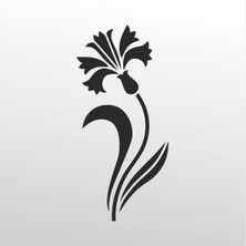 Technopa Folyo Sticker Lale 112 200 cm Uzunluk Dekoratif Sticker