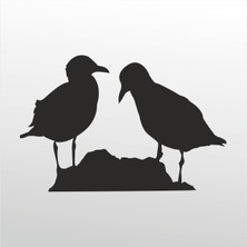 Technopa Folyo Sticker Kuşlar 30 cm Uzunluk Dekoratif Sticker