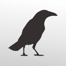 Technopa Folyo Sticker Karga 101 60 cm Uzunluk Dekoratif Sticker