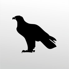 Technopa Folyo Sticker Kartal 70 cm Uzunluk Dekoratif Sticker