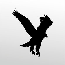 Technopa Folyo Sticker Kartal 105 100 cm Uzunluk Dekoratif Sticker