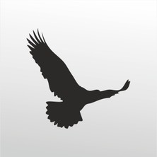 Technopa Folyo Sticker Kartal 101 30 cm Uzunluk Dekoratif Sticker