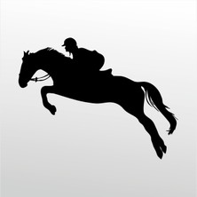 Technopa Folyo Sticker Jokey 102 130 cm Uzunluk Dekoratif Sticker