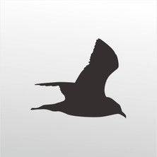 Technopa Folyo Sticker Martı 101 60 cm Uzunluk Dekoratif Sticker