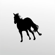 Technopa Folyo Sticker At 126 70 cm Uzunluk Dekoratif Sticker