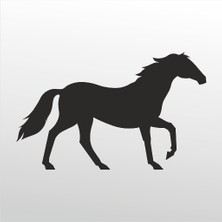 Technopa Folyo Sticker At 124 160 cm Uzunluk Dekoratif Sticker