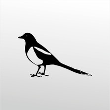 Technopa  Folyo Sticker Muhabbet Kuşu 80  cm Uzunluk Dekoratif Sticker