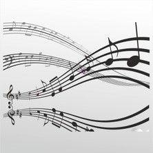 Technopa Folyo Sticker Müzik Notaları 103 130 cm Uzunluk Dekoratif Sticker