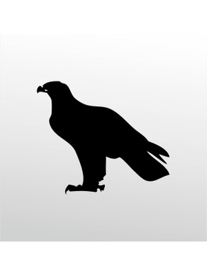 Technopa Folyo Sticker Kartal 60 cm Uzunluk Dekoratif Sticker