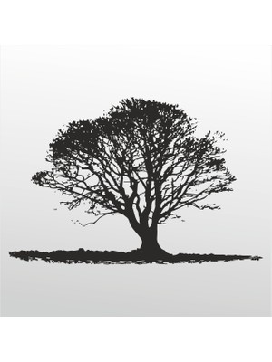 Technopa Folyo Sticker Ağaç 112 100 cm Uzunluk Dekoratif Sticker