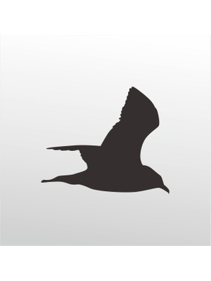 Technopa Folyo Sticker Martı 101 30 cm Uzunluk Dekoratif Sticker