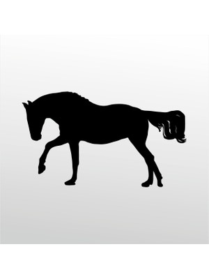 Technopa Folyo Sticker At 155 80 cm Uzunluk Dekoratif Sticker