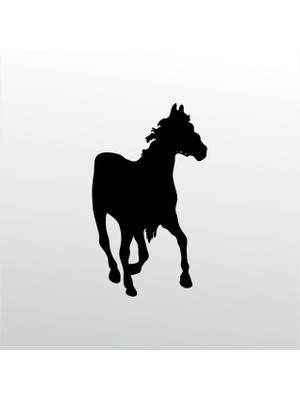 Technopa Folyo Sticker At 130 60 cm Uzunluk Dekoratif Sticker