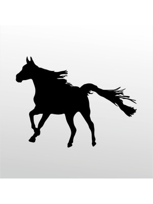 Technopa Folyo Sticker At 127 40 cm Uzunluk Dekoratif Sticker