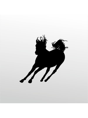 Technopa Folyo Sticker At 128 80 cm Uzunluk Dekoratif Sticker