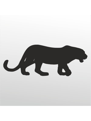 Technopa Folyo Sticker Çita 70 cm Uzunluk Dekoratif Sticker